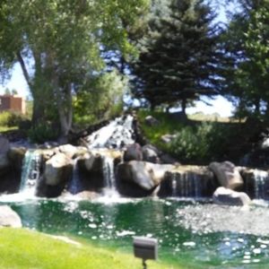 Meet your Posher, Victoria